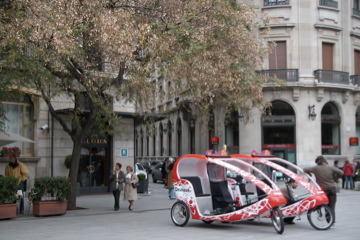 en frente del Catedral